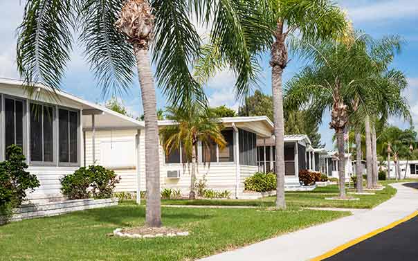 row of mobile homes under palm trees